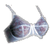 bra3.gif (3006 bytes)